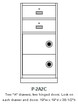 Single-width, standing-height pedestal Model P-2A2C