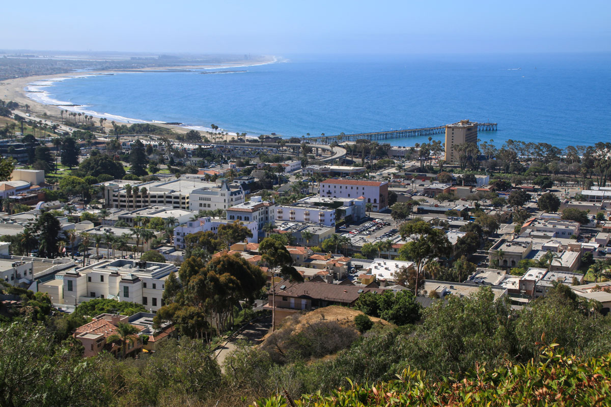 Bay and city from hills