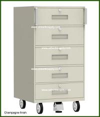 5-Drawer Inner Vault teller Truck 19