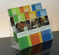 Clear Acrylic 6-Pocket, 2-Tiered Literature Holder for 4