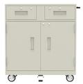 Two Drawer One Cabinet Mobile Teller Truck - Main Image