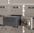 SDXN Series Safe Deposit Boxes --16